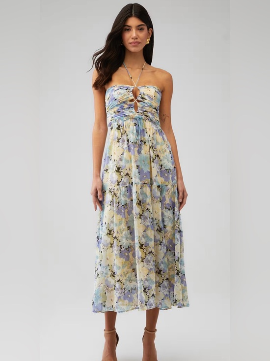 Astr Dresses & Skirts - ASTR the label Rozina Maxi Dress in Blue/Green Floral, Size Medium